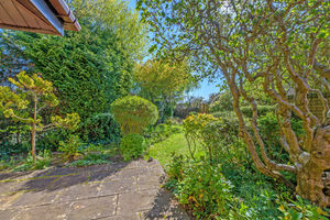 Garden- click for photo gallery